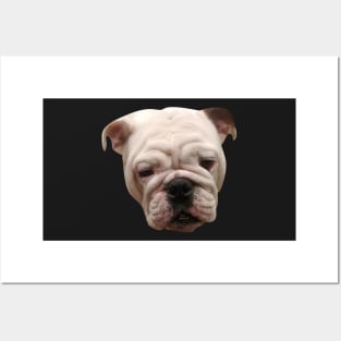 Bulldog Posters and Art